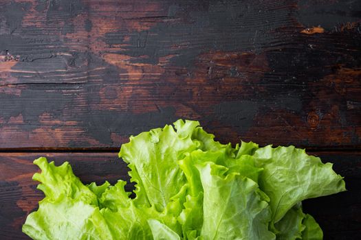 Green salad lettuce fresh leaves, on dark wooden background with copy space for text