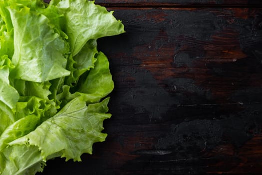 Raw organic green, oak lettuce, on dark wooden background with copy space for text