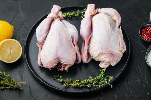 Fresh whole poult meat with herbs spices, on black background
