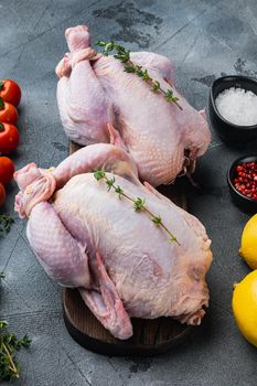Fresh whole poult meat with herbs and ingredients, on gray background