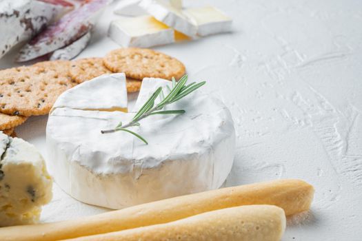 French soft camembert of normandy cheese set, on white background with copy space for text