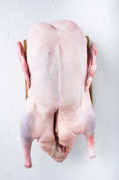 Raw young goose meat on white background, top view.
