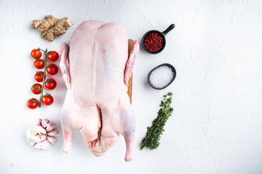 Whole raw duck meat on white background, top view.