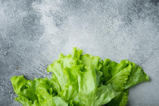 Fesh green lettuce salad organic leaves, on gray background