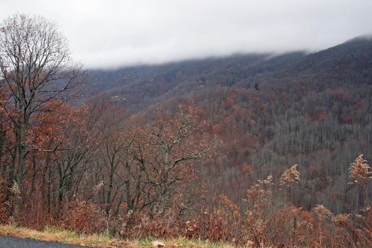 Blue Ridge Mountains, North Carolina