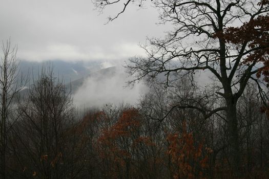 Blue Ridge Mountains, North Carolina