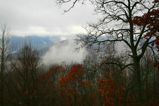 Blue Ridge Mountains, North Carolina