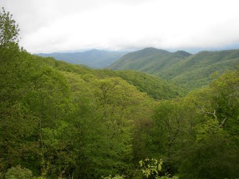 Blue Ridge Mountains, North Carolina