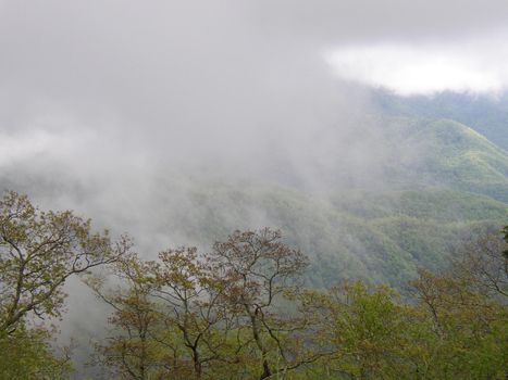 Blue Ridge Mountains, North Carolina