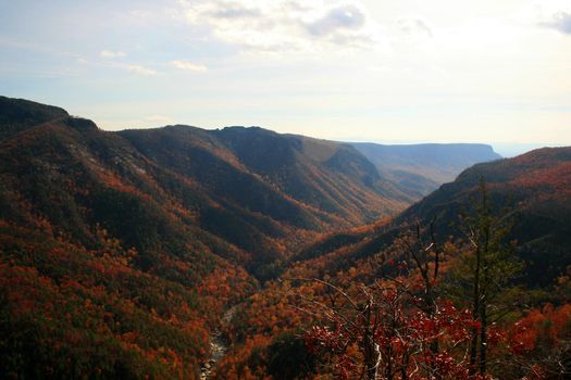 Blue Ridge Mountains, North Carolina