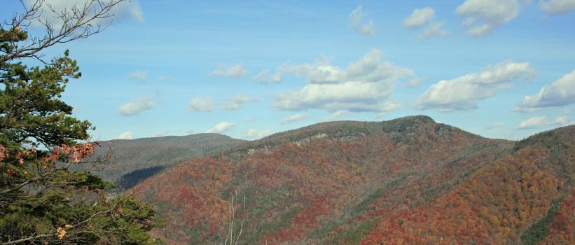 Blue Ridge Mountains, North Carolina