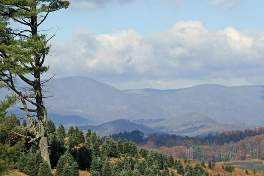 Blue Ridge Mountains, North Carolina