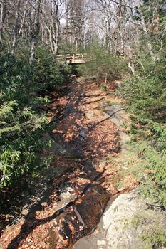 Blue Ridge Mountains, North Carolina
