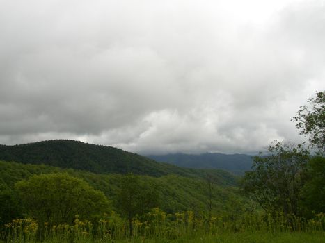 Blue Ridge Mountains, North Carolina