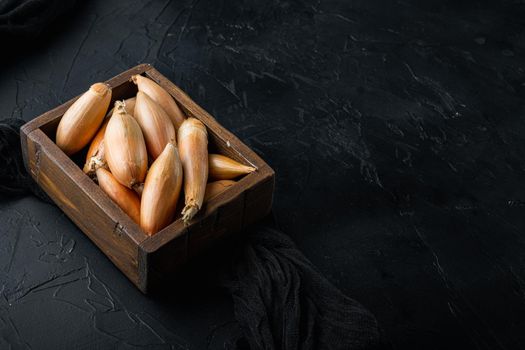 Raw whole baby shallot onion, on black textured background with space for text