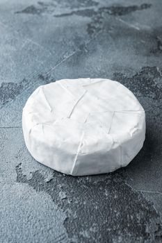 French soft camembert of normandy cheese set, on gray background