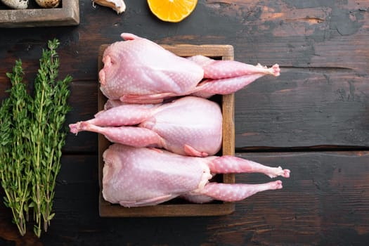 Whole quails meat with spices, herbs, vegetables, top view, on dark wooden background with copy space