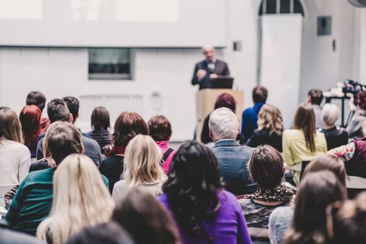 Male speaker giving presentation in lecture hall at university workshop. Audience in conference hall. Rear view of unrecognized participant in audience. Scientific conference event.