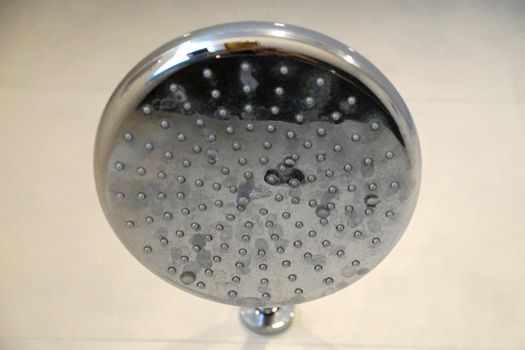 included shower head close up.