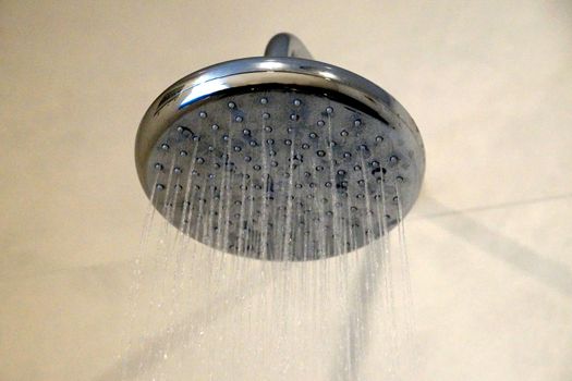 included shower head close up.