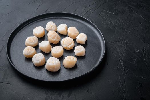 Sea delicacies, raw scallops, on black textured background with copy space