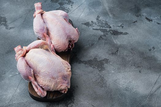 Fresh whole poult meat, on gray background with copy space for text