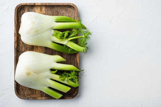 Fennel bulbs, on white textured background, flat lay with space for text