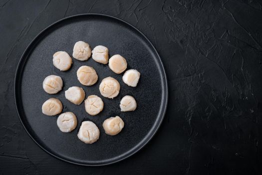 Scallops fresh meat, top view, on black textured background with copy space