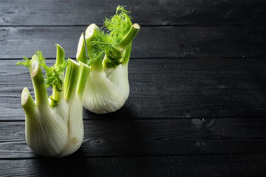 Fennel bulbs, on black wooden table with space for text