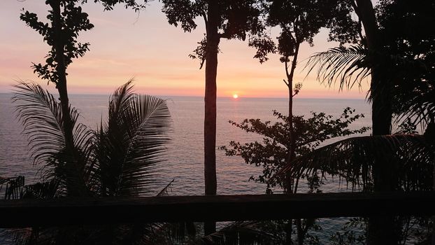 The sunset with views of the sea and palm trees. The sun goes below the horizon. An orange ray of sunlight is reflected on the water. Palm trees stand near the sea. Small clouds float across the sky.