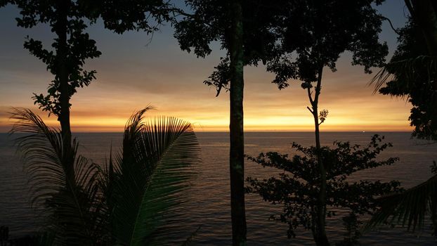 The sunset with views of the sea and palm trees. The sun goes below the horizon. An orange ray of sunlight is reflected on the water. Palm trees stand near the sea. Small clouds float across the sky.