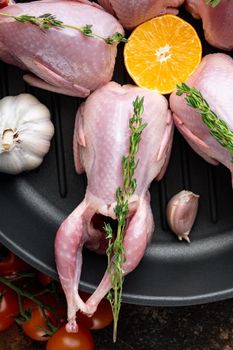 Homemade eco friendly raw quail, top view