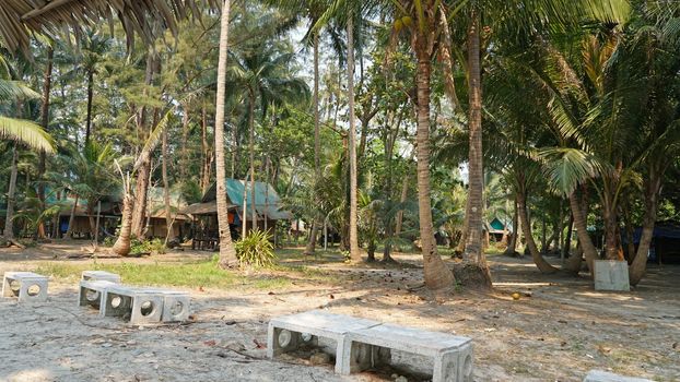 Old houses on an island in the jungle. Chang Island. Coconuts lie on the sand, there are benches and tall palm trees with large leaves. In the distance, you can see the houses where tourists live.