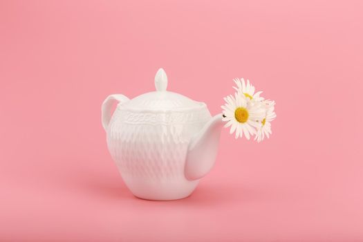 White porcelain tea pot with camomile flowers on pink background. Creative concept of herbal tea, wellbeing and healthy lifestyle