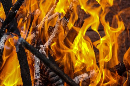 Burning wood - fire with big orange flames