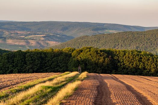 Aerial view at a landscape in Germany, Rhineland Palatinate near Bad Sobernheim 