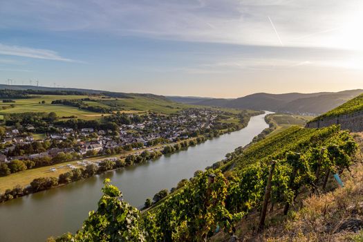 Panoramic view of the Moselle valley with the wine village Brauneberg in the background on a sunny autumn day