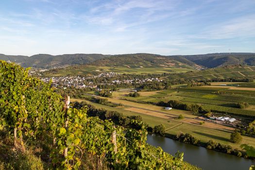 Panoramic view of the Moselle valley with the wine village Mülheim in the background on a sunny autumn day