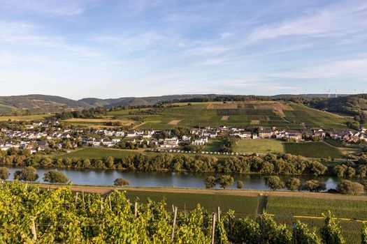 Panoramic view of the Moselle valley with the wine village Brauneberg in the background on a sunny autumn day