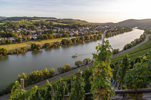 Panoramic view of the Moselle valley with the wine village Brauneberg in the background on a sunny autumn day