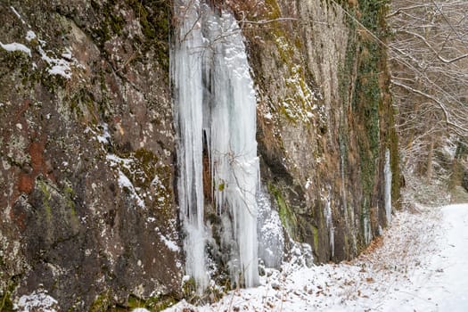 Icicles, ice formations on a rock near Bernkastel-Kues on the Moselle