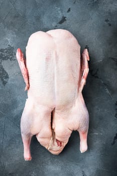 Whole raw goose meat on grey background, top view.