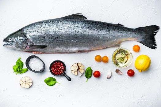 Fresh raw salmon red fish on white background, top view.