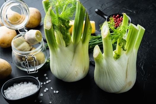 Fresh florence fennel bulb, on black textured background