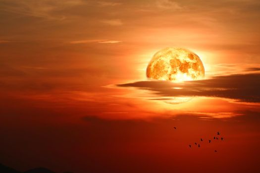 Super blood moon and silhouette birds fly to nest in the night sky, Elements of this image furnished by NASA