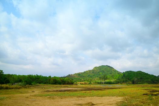 View of cassava plantations and rubber plantations in the mountains Is an economic crop of Thailand