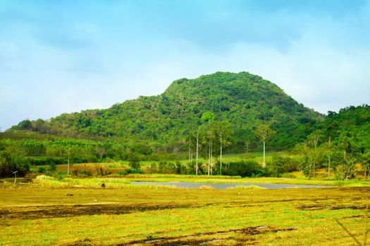 Farmers burned after harvesting, View of cassava plantations and rubber plantations in the mountains Is an economic crop of Thailand