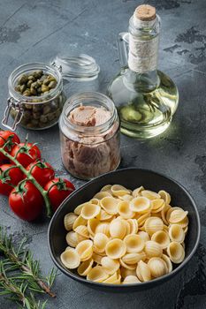 Pasta with vegetables and tuna ingredient, on gray background