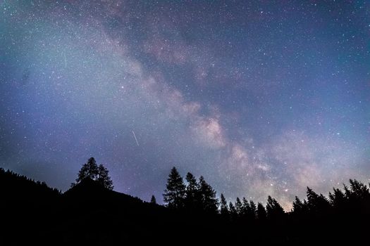 Milky way clear at night, silhouettes of trees