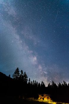 Milky way clear at night, silhouettes of trees